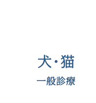 犬・猫　一般診療